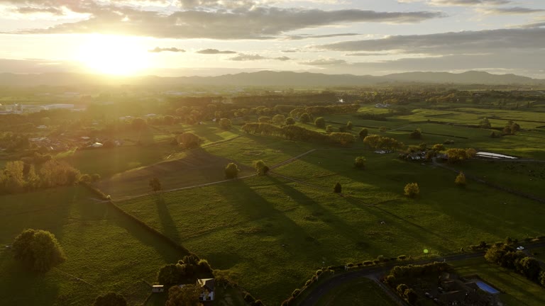 Low evening sunlight stretches across green paddocks, trees and rural houses.